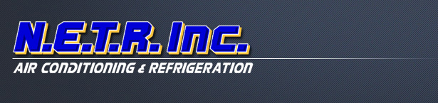 NETR Inc